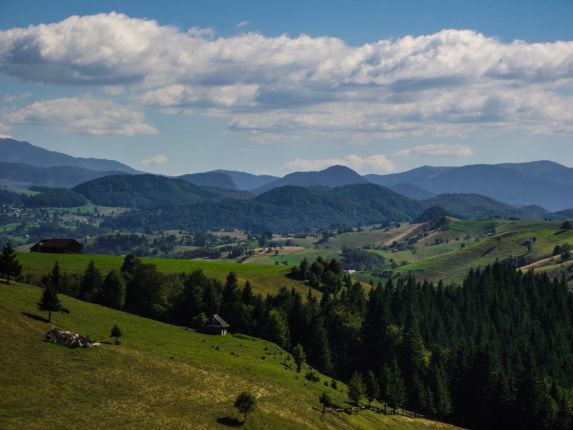 Bran Castle & Hike in the Carpathians Tour - Romanian Friend